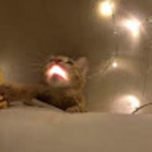 Meet your Posher, Khanieee